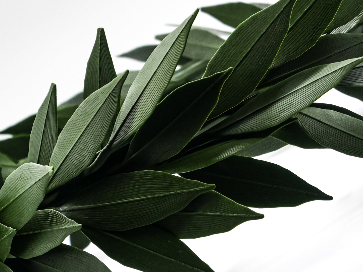 Corona di alloro stampata in 3D